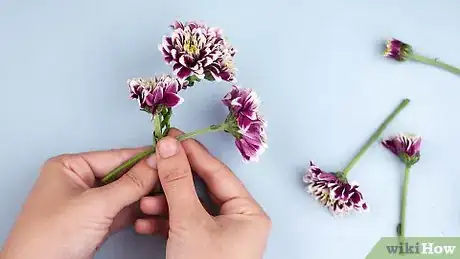 Image intitulée Make a Flower Crown Step 19