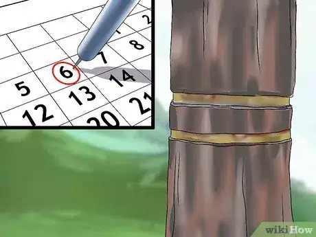 Image intitulée Kill a Tree Step 6