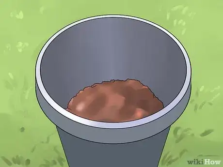 Image intitulée Grow Anthurium Plants Step 2