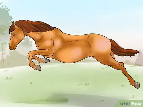 Image intitulée Tell if Your Horse Needs Hock Injections Step 6