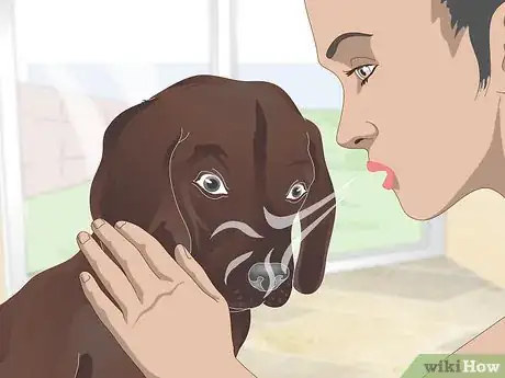 Image intitulée Stop Reverse Sneezing in Dogs Step 2
