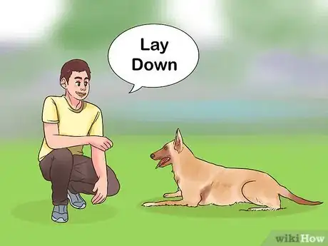 Image intitulée Train a Belgian Malinois Step 9