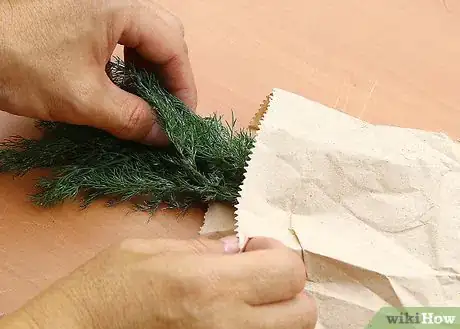 Image intitulée Dry Dill Step 7