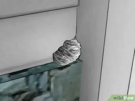 Image intitulée Remove Dead Animal Odor Step 10