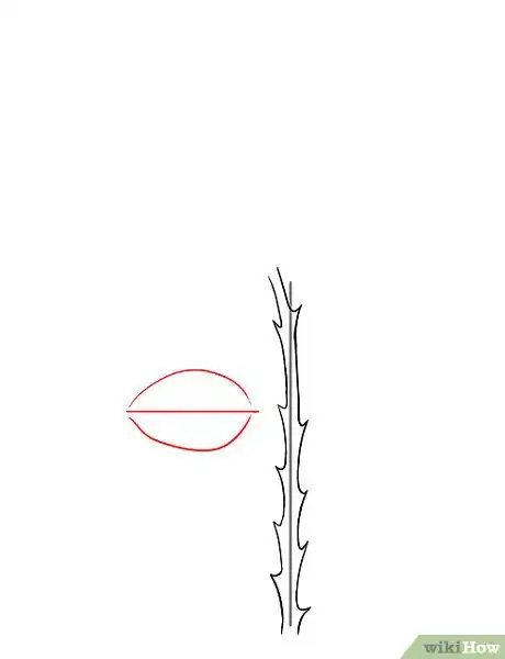 Image intitulée Draw a Rose Step 4