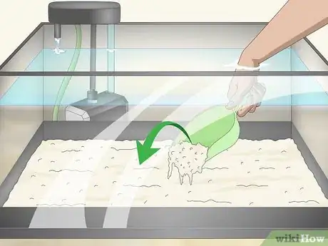 Image intitulée Raise the pH of a Fish Tank Step 9