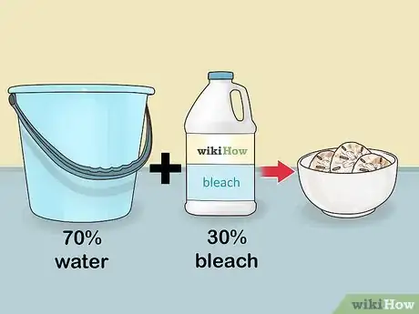Image intitulée Find Sand Dollars Step 14