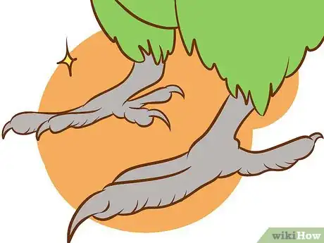 Image intitulée Care for a Conure Step 1Bullet4