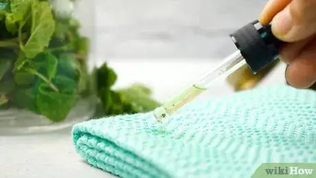 Image intitulée Extract Mint Oils from Leaves Step 9