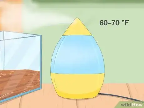 Image intitulée Care for Slugs Step 5