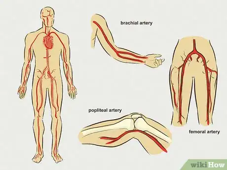 Image intitulée Stop Bleeding Step 21