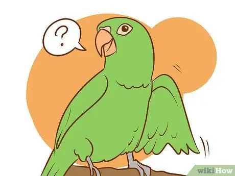 Image intitulée Care for a Conure Step 1Bullet1