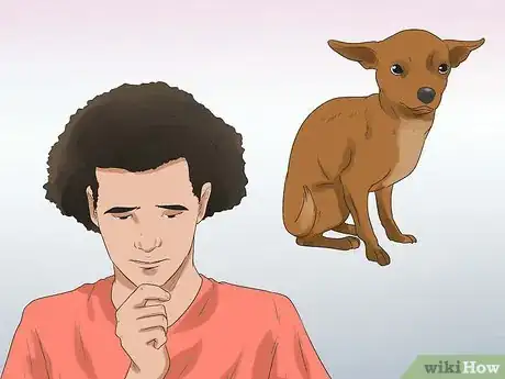 Image intitulée Put a Dog to Sleep Step 1