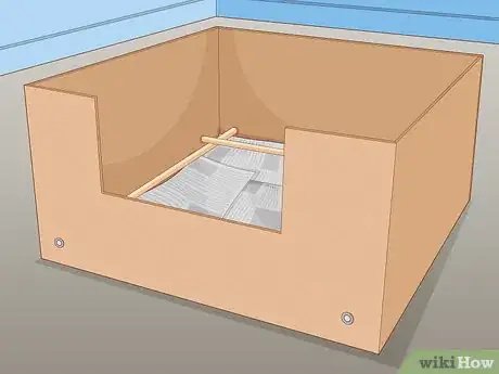 Image intitulée Breed Husky Dogs Step 14