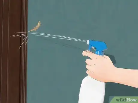 Image intitulée Chase Lizards out of Your House Step 5