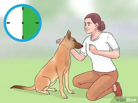 Image intitulée Train a Belgian Malinois Step 7