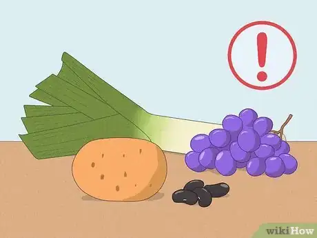 Image intitulée Get Rid of Kidney Stones Step 10