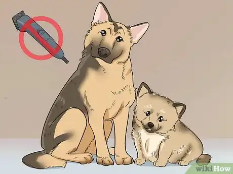 Image intitulée Shave Your Dog Step 3