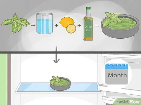 Image intitulée Grow Basil Step 13
