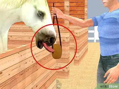 Image intitulée Look After a Horse Step 4