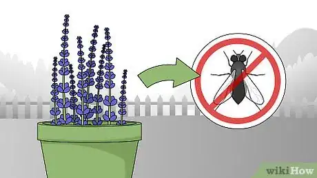 Image intitulée Get Rid of Flies Outside Step 11