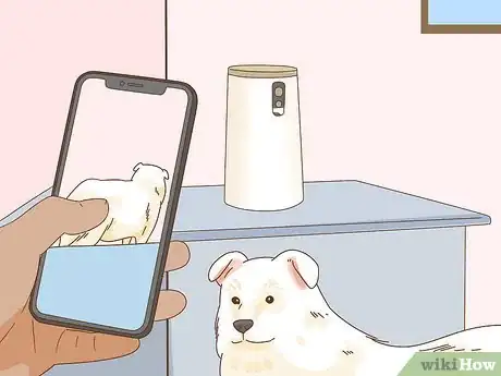 Image intitulée Leave Your Pets Alone While on Vacation Step 16