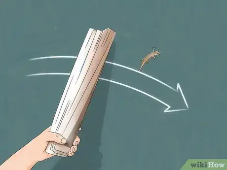 Image intitulée Chase Lizards out of Your House Step 4