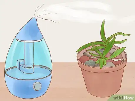Image intitulée Care for a Dendrobium Orchid Step 10