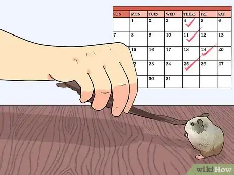 Image intitulée Feed Dwarf Hamsters Step 5