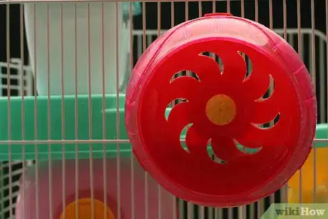Image intitulée Care for a Hamster Step 4