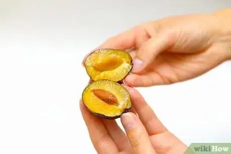 Image intitulée Make Prunes Step 1