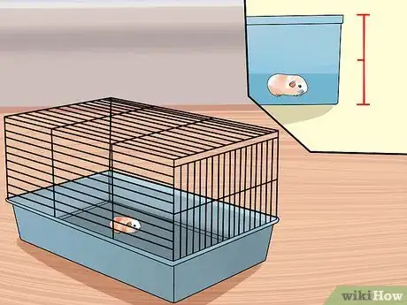 Image intitulée Care for Baby Guinea Pigs Step 2
