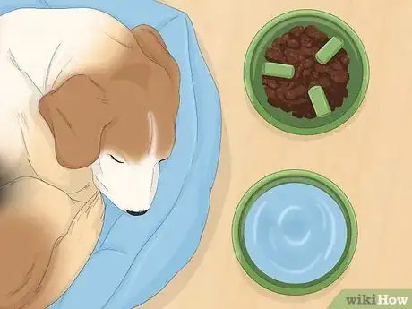Image intitulée Treat Canine Stroke Step 5