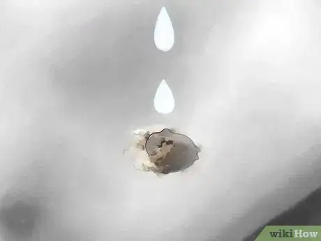 Image intitulée Clean Bird Droppings Step 14