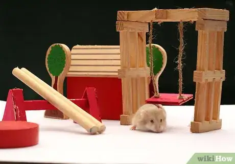 Image intitulée Care for a Hamster Step 6