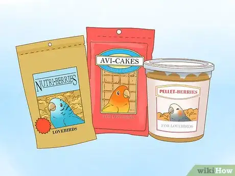 Image intitulée Keep a Lovebird As a Pet Step 13