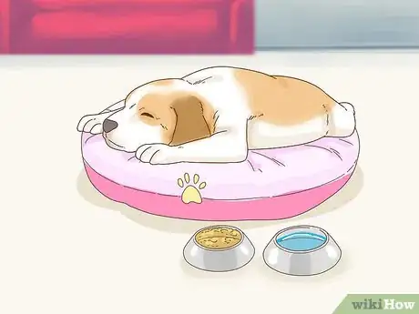 Image intitulée Leave Your Pets Alone While on Vacation Step 13
