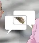 nourrir un escargot