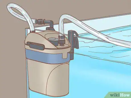 Image intitulée Know How Many Fish You Can Place in a Fish Tank Step 9