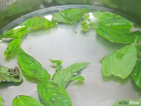Image intitulée Make Basil Oil Step 3