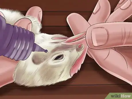 Image intitulée Vaccinate Chickens Step 23