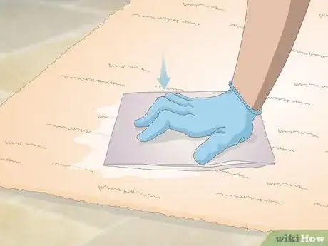 Image intitulée Get Dog Urine Smell out of Carpets Step 9