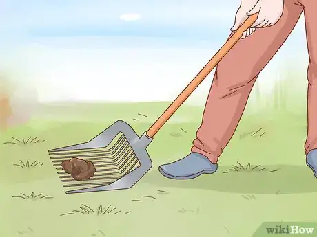 Image intitulée Care for Baby Goats Step 10
