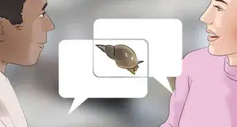 nourrir un escargot