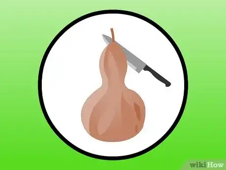 Image intitulée Dry Gourds Step 21