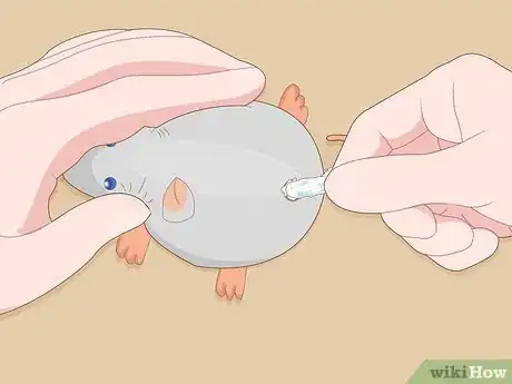 Image intitulée Make Cat Toys out of Common Household Items Step 10