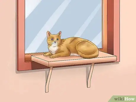 Image intitulée Prevent Cats from Jumping on Counters Step 9