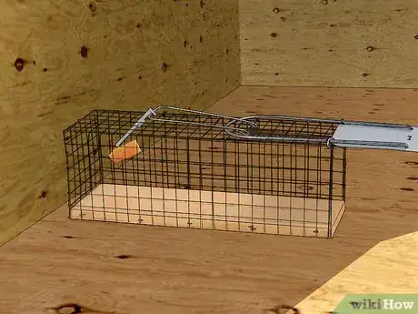 Image intitulée Get Rid of Chipmunks Step 16