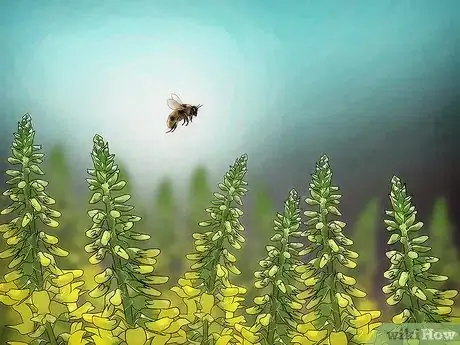 Image intitulée Care for an Injured Honeybee Step 11