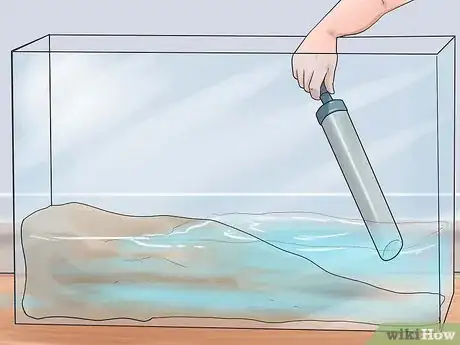 Image intitulée Keep Your Turtle Happy Step 3